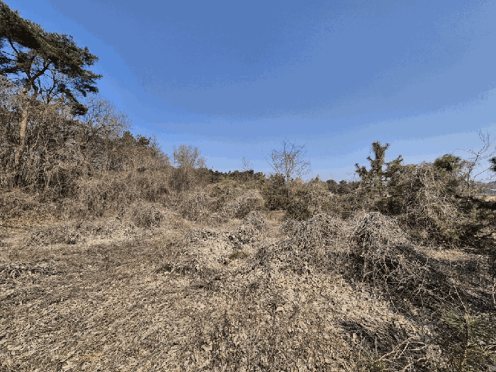 충청남도 당진시 순성면 아찬리 201-7 외 18필지 창고시설 경매 사진 89