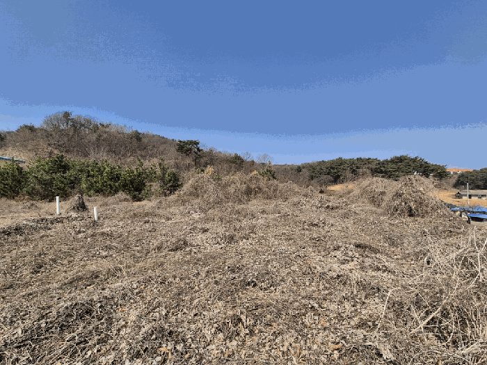 충청남도 당진시 순성면 아찬리 201-7 외 18필지 창고시설 경매 사진 90