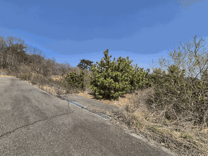 충청남도 당진시 순성면 아찬리 201-7 외 18필지 창고시설 경매 사진 96