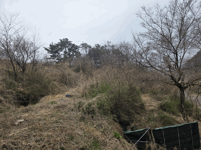 대구광역시 동구 상매동 208-4 과수원 경매 사진 12
