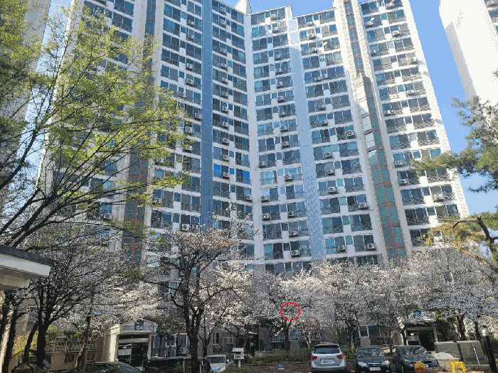 대구광역시 달서구 용산동 911 용산파크타운 104동 2층204호 외 1필지 아파트 경매 사진 4