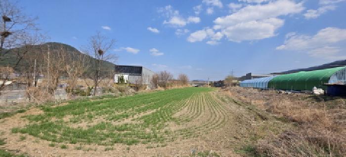 경상북도 구미시 신동 674 답 경매 사진 10