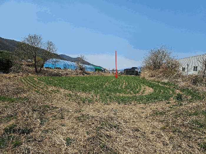 경상북도 구미시 신동 674 답 경매 사진 14