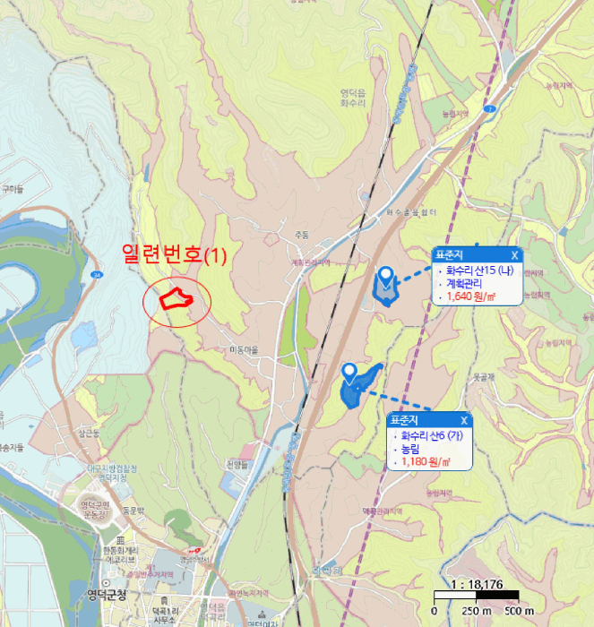 경상북도 영덕군 영덕읍 화수리 산188-1 임야 경매 사진 15