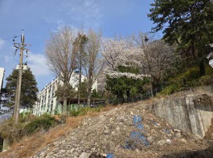 부산광역시 동래구 명장동 477-44 임야 경매 사진 15