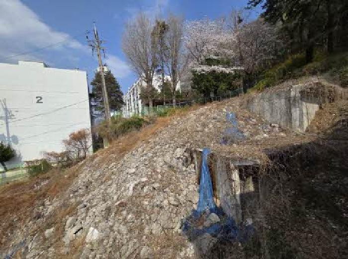 부산광역시 동래구 명장동 477-44 임야 경매 사진 18