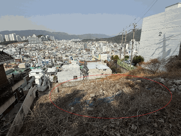 부산광역시 동래구 명장동 477-44 임야 경매 사진 22