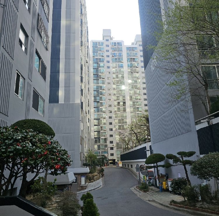 부산광역시 사상구 주례동 10-21 반도보라매머드타운 103,104동 4층104-401호 아파트 경매 사진 5