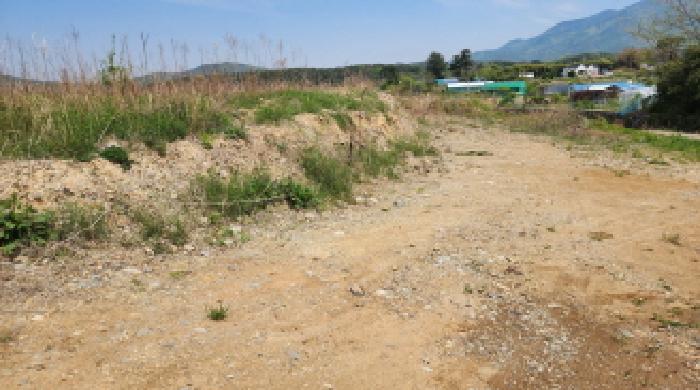 울산광역시 울주군 두동면 은편리 555 외 1필지 답 경매 사진 3