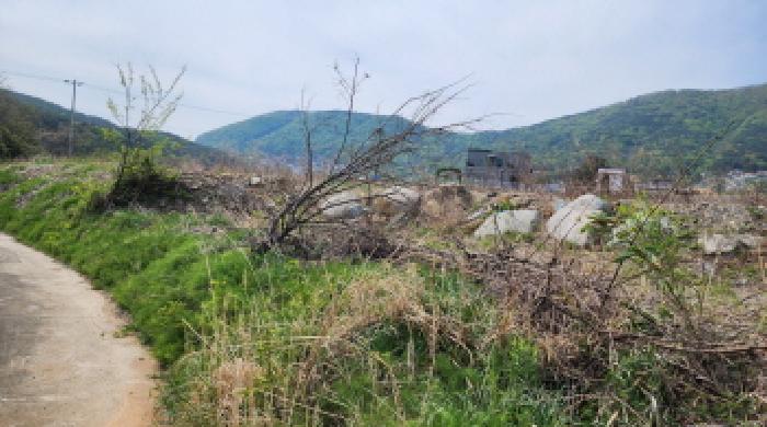 울산광역시 울주군 두동면 은편리 555 외 1필지 답 경매 사진 4