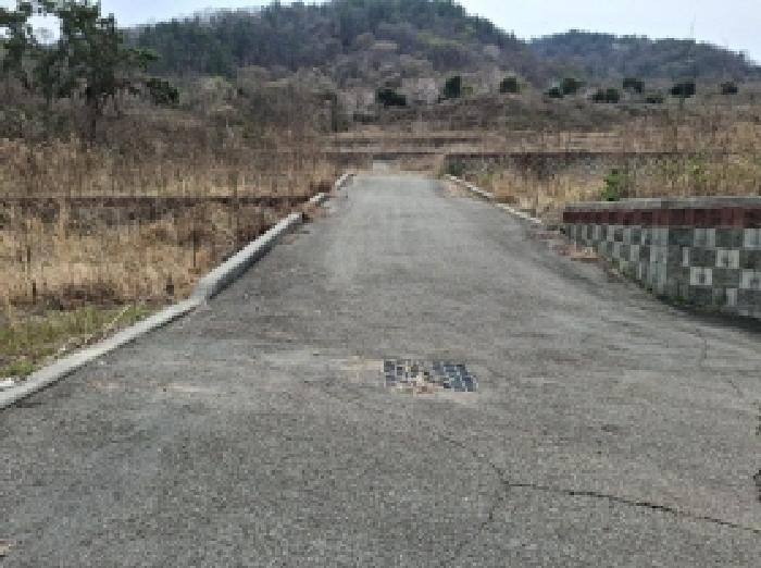 경상남도 사천시 송포동 산185-26 외 3필지 임야 경매 사진 2