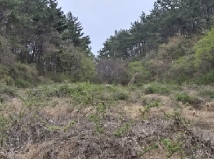경상남도 고성군 삼산면 두포리 238 외 7필지 답 경매 사진 1