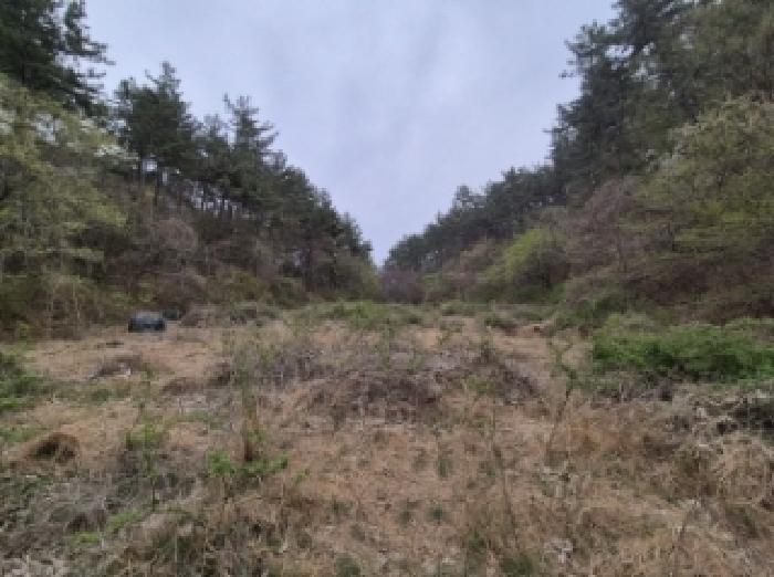 경상남도 고성군 삼산면 두포리 238 외 7필지 답 경매 사진 2