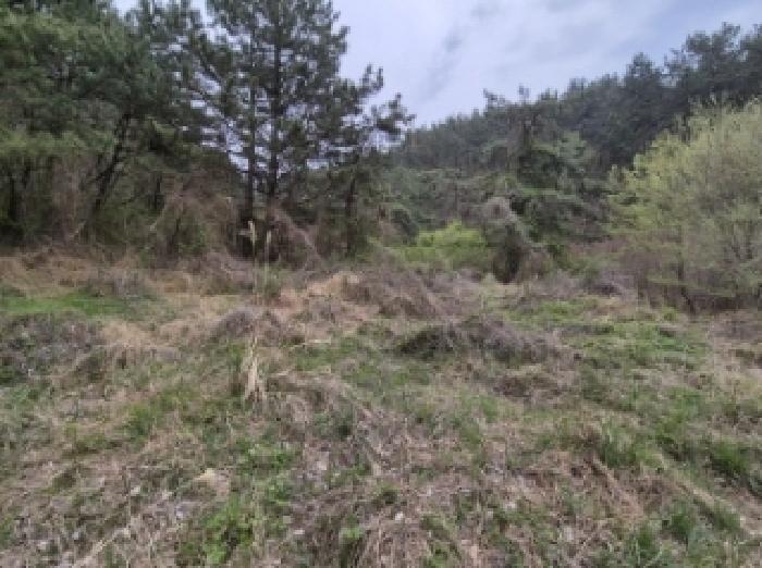경상남도 고성군 삼산면 두포리 238 외 7필지 답 경매 사진 13