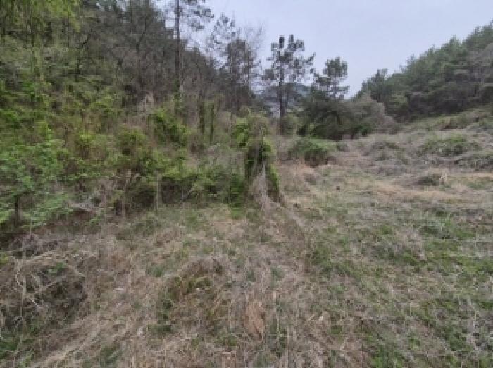 경상남도 고성군 삼산면 두포리 238 외 7필지 답 경매 사진 15