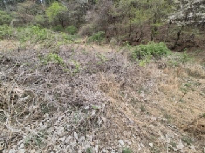 경상남도 고성군 삼산면 두포리 238 외 7필지 답 경매 사진 3