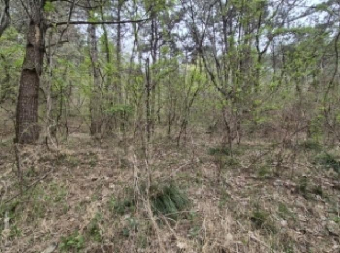 경상남도 고성군 삼산면 두포리 238 외 7필지 답 경매 사진 18