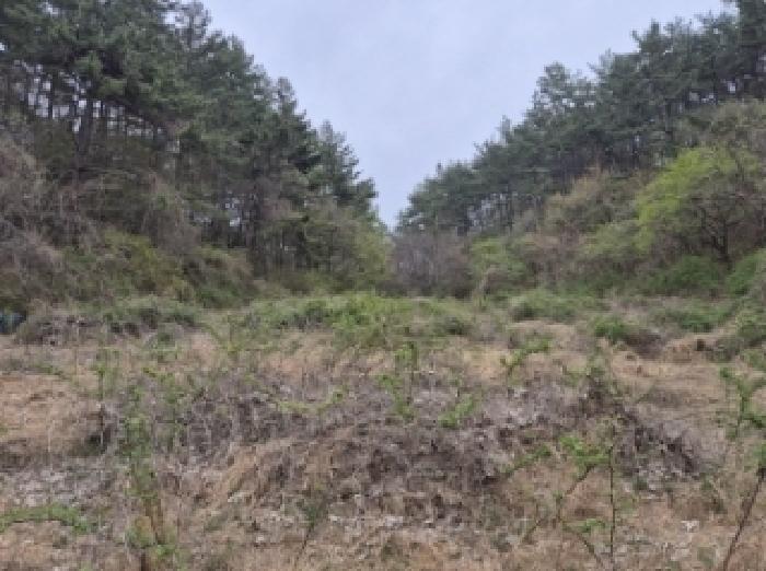 경상남도 고성군 삼산면 두포리 238 외 7필지 답 경매 사진 20