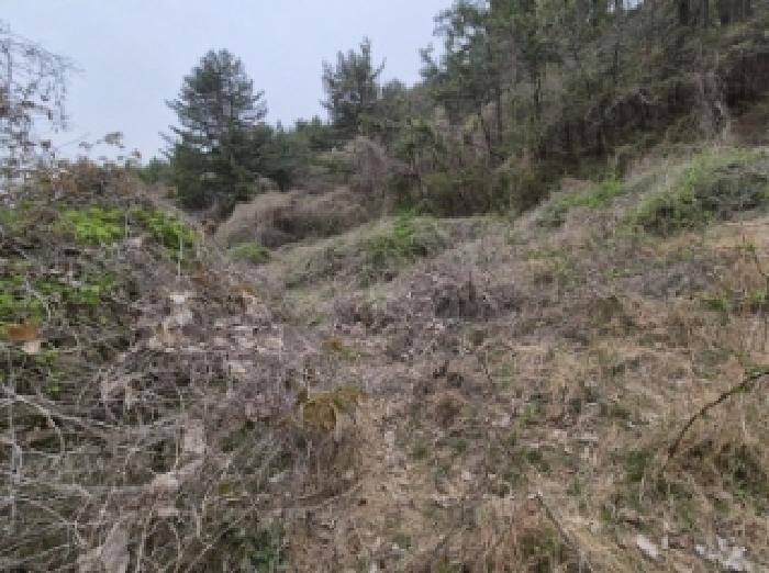 경상남도 고성군 삼산면 두포리 238 외 7필지 답 경매 사진 21