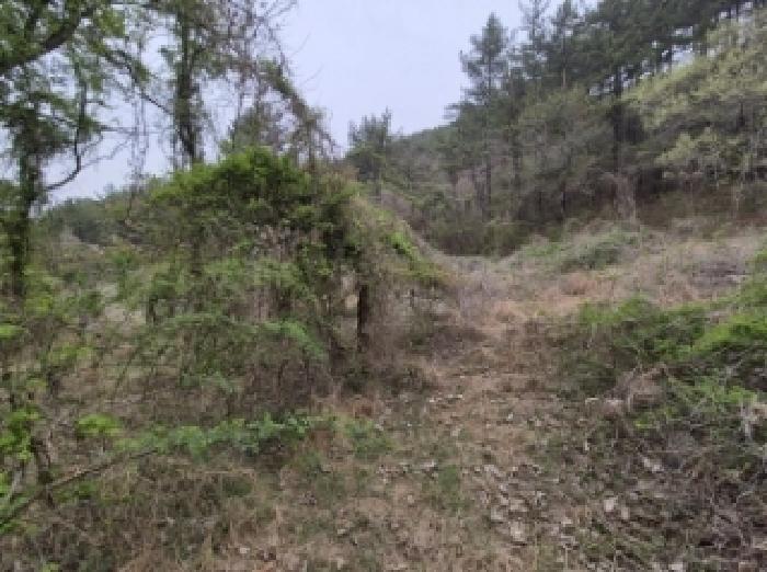 경상남도 고성군 삼산면 두포리 238 외 7필지 답 경매 사진 22