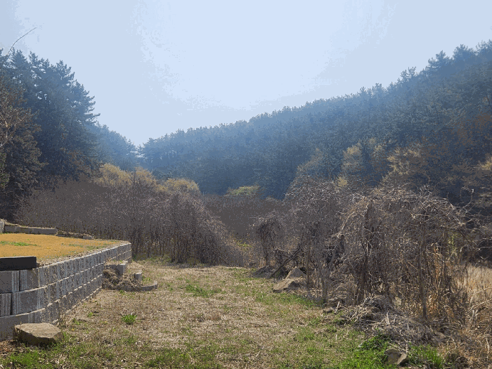 경상남도 고성군 삼산면 두포리 238 외 7필지 답 경매 사진 25