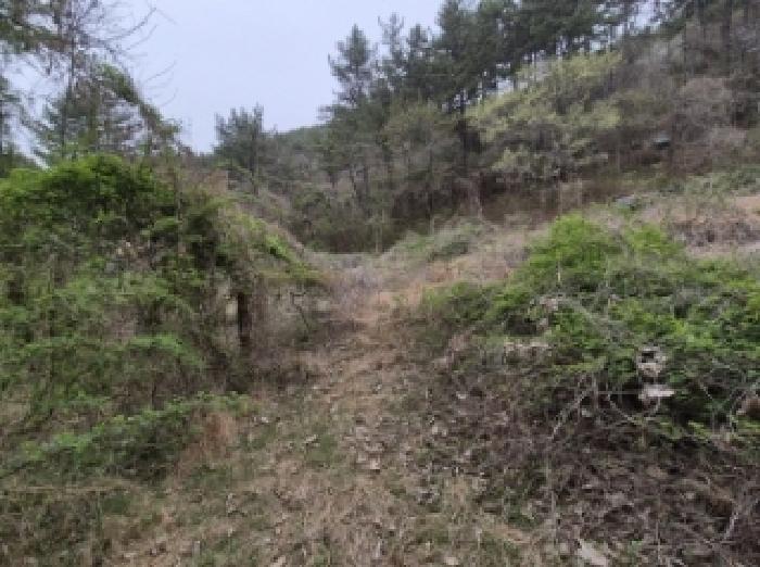 경상남도 고성군 삼산면 두포리 238 외 7필지 답 경매 사진 5