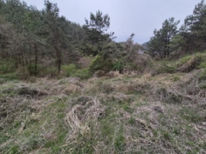 경상남도 고성군 삼산면 두포리 238 외 7필지 답 경매 사진 8