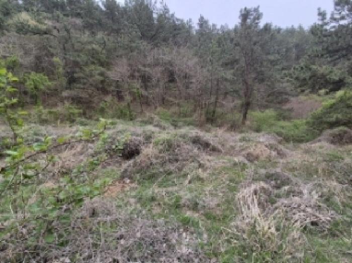 경상남도 고성군 삼산면 두포리 238 외 7필지 답 경매 사진 9