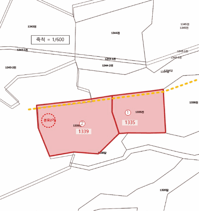 전라남도 신안군 지도읍 광정리 1335 전 경매 사진 6
