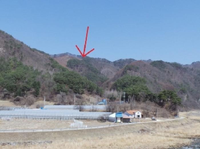 강원특별자치도 정선군 화암면 화암리 산311 임야 경매 사진 10