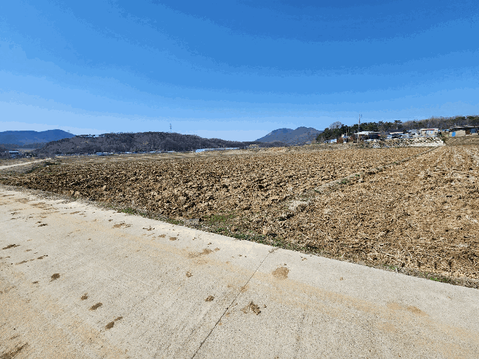 충청남도 예산군 광시면 시목리 392-8 외 2필지 전 경매 사진 14