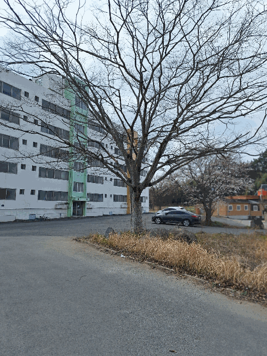 전라남도 장흥군 장흥읍 관덕리 215-1 다가구주택 경매 사진 45