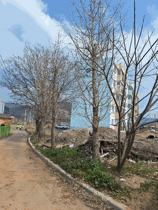 전라남도 장흥군 장흥읍 관덕리 215-1 다가구주택 경매 사진 57