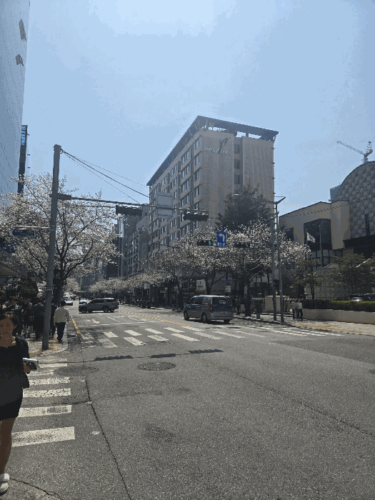 서울특별시 강남구 역삼동 830-41 네스빌 6층613호 외 4필지 오피스텔(주거) 경매 사진 9