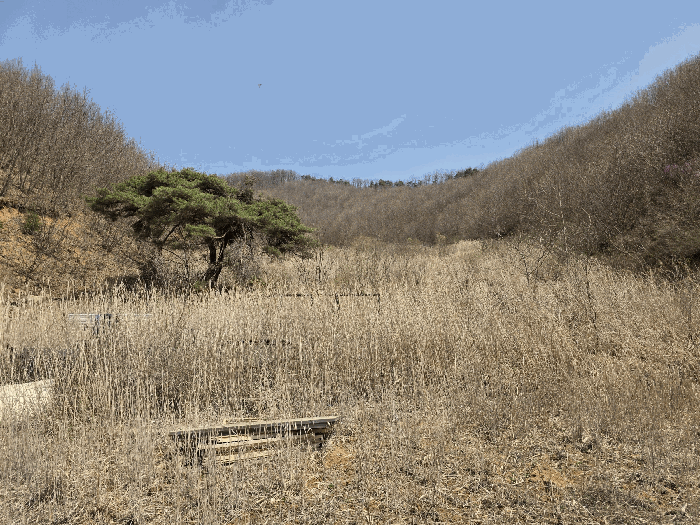 충청북도 괴산군 소수면 길선리 42-5 외 4필지 동물및식물관련시설 경매 사진 34