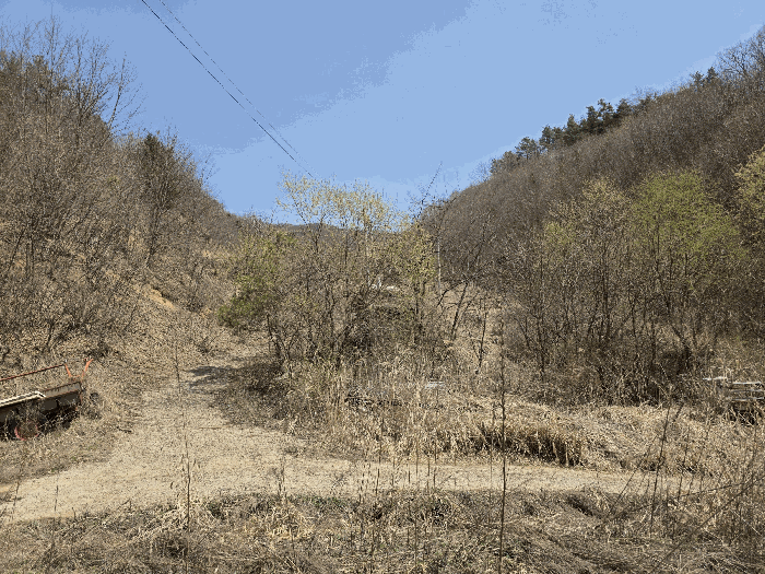 충청북도 괴산군 소수면 길선리 42-5 외 4필지 동물및식물관련시설 경매 사진 41