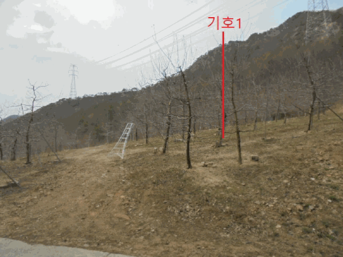 충청북도 단양군 단성면 가산리 9-1 외 1필지 전 경매 사진 11