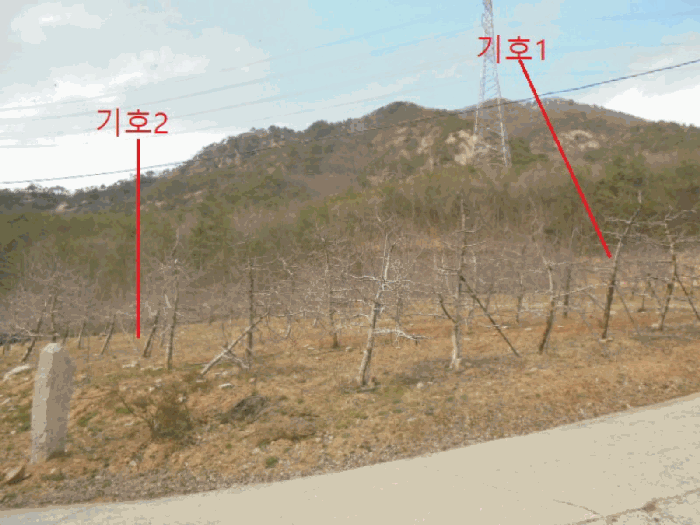 충청북도 단양군 단성면 가산리 9-1 외 1필지 전 경매 사진 10