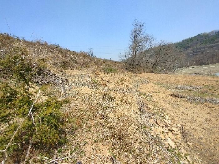 충청남도 부여군 부여읍 송곡리 72 외 1필지 대지 경매 사진 1