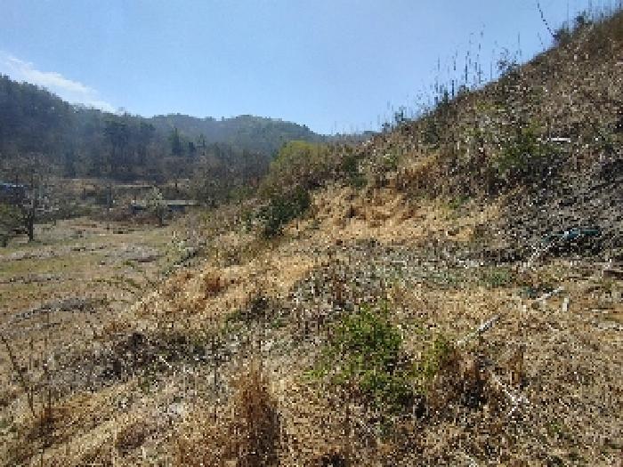 충청남도 부여군 부여읍 송곡리 72 외 1필지 대지 경매 사진 2