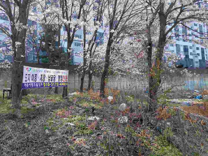 충청남도 천안시 서북구 직산읍 삼은리 59-4 외 11필지 과수원 경매 사진 14