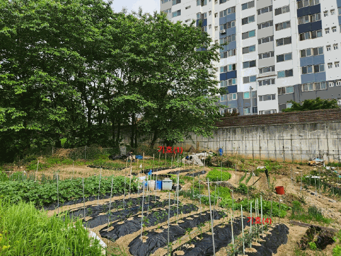 충청남도 천안시 서북구 직산읍 삼은리 59-4 외 11필지 과수원 경매 사진 32