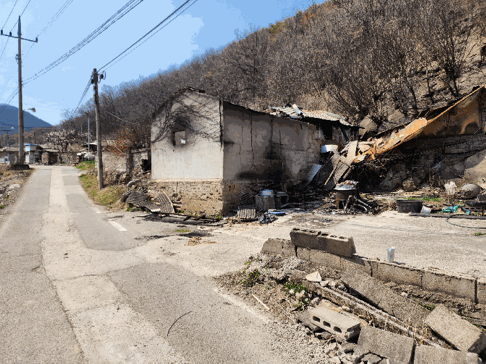 경상북도 청송군 진보면 고현리 338-1 대지 경매 사진 20