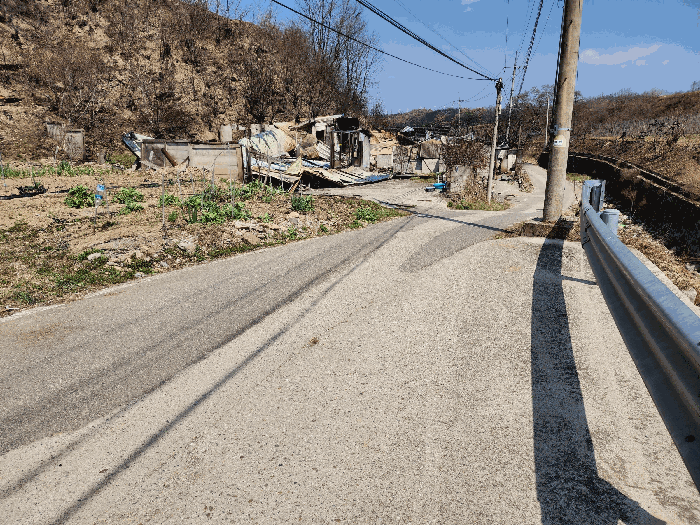 경상북도 청송군 진보면 고현리 338-1 대지 경매 사진 22