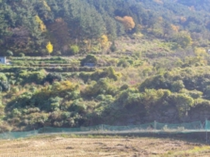 경상남도 거제시 사등면 사등리 1323-1 답 경매 사진 1