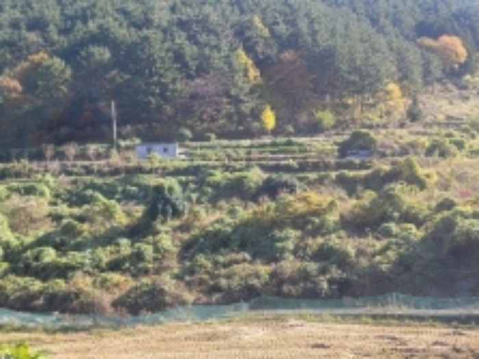 경상남도 거제시 사등면 사등리 1323-1 답 경매 사진 2