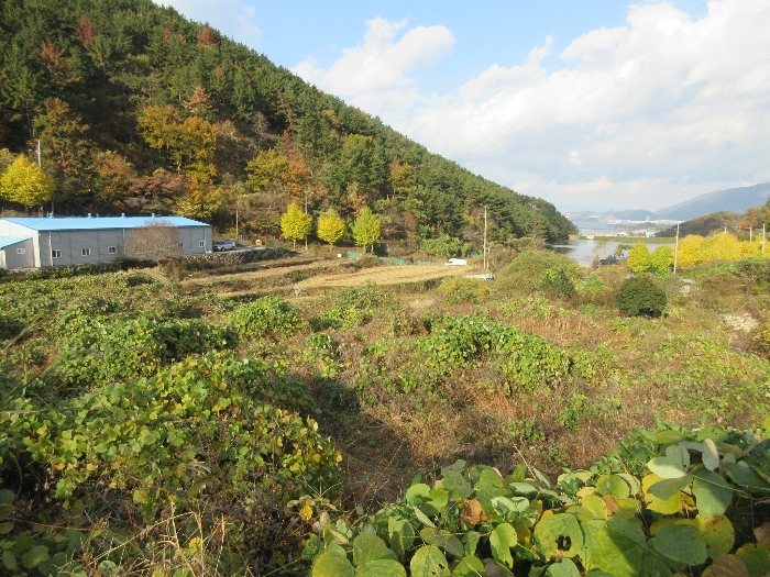 경상남도 거제시 사등면 사등리 1323-1 답 경매 사진 4