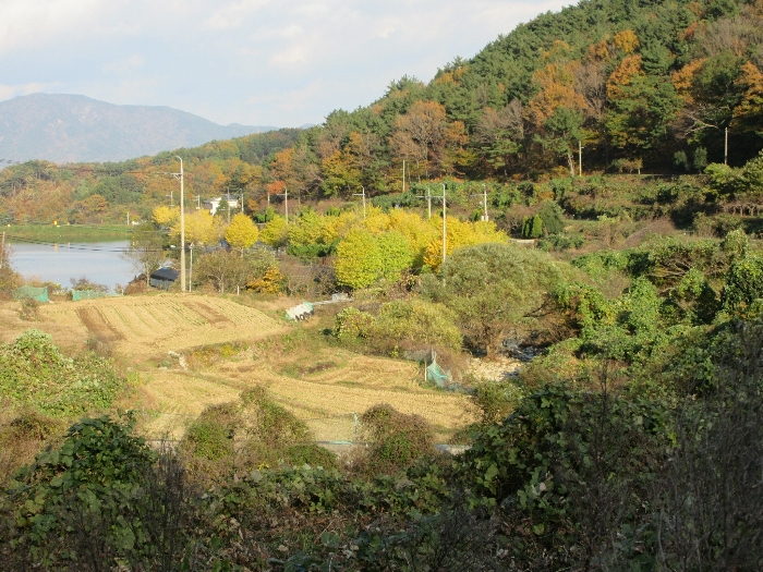 경상남도 거제시 사등면 사등리 1323-1 답 경매 사진 6