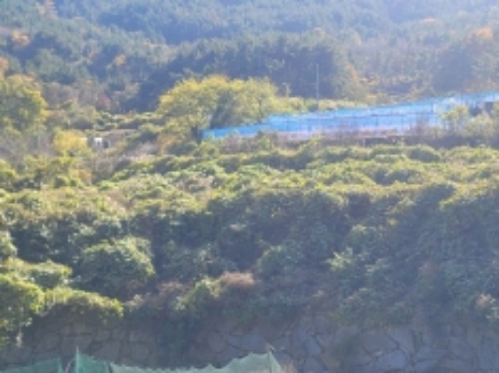 경상남도 거제시 사등면 사등리 1323-11 답 경매 사진 2