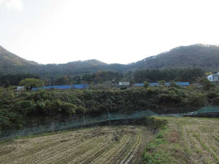 경상남도 거제시 사등면 사등리 1323-11 답 경매 사진 5